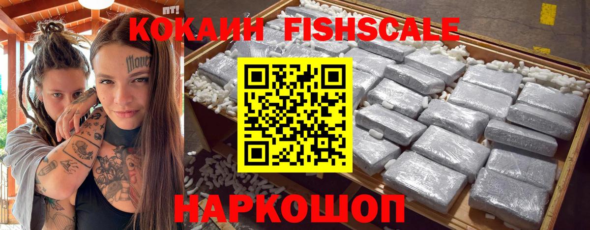 Кокаин Эквадор Кингисепп